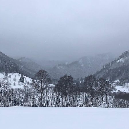 Forest Apartment-Forest Escape Menzenschwand St. Blasien Εξωτερικό φωτογραφία