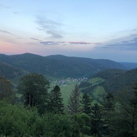 Forest Apartment-Forest Escape Menzenschwand St. Blasien Εξωτερικό φωτογραφία