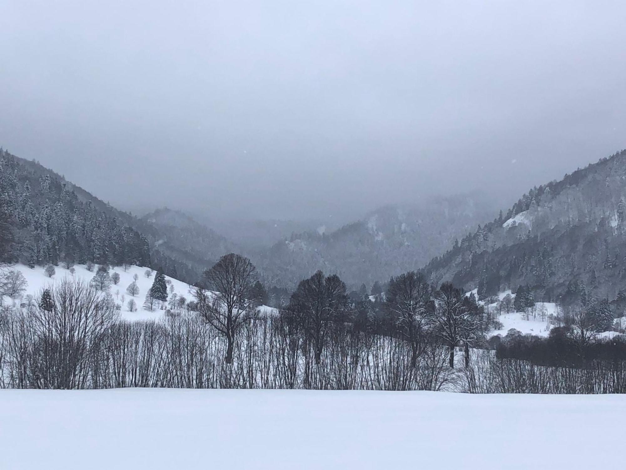 Forest Apartment-Forest Escape Menzenschwand St. Blasien Εξωτερικό φωτογραφία