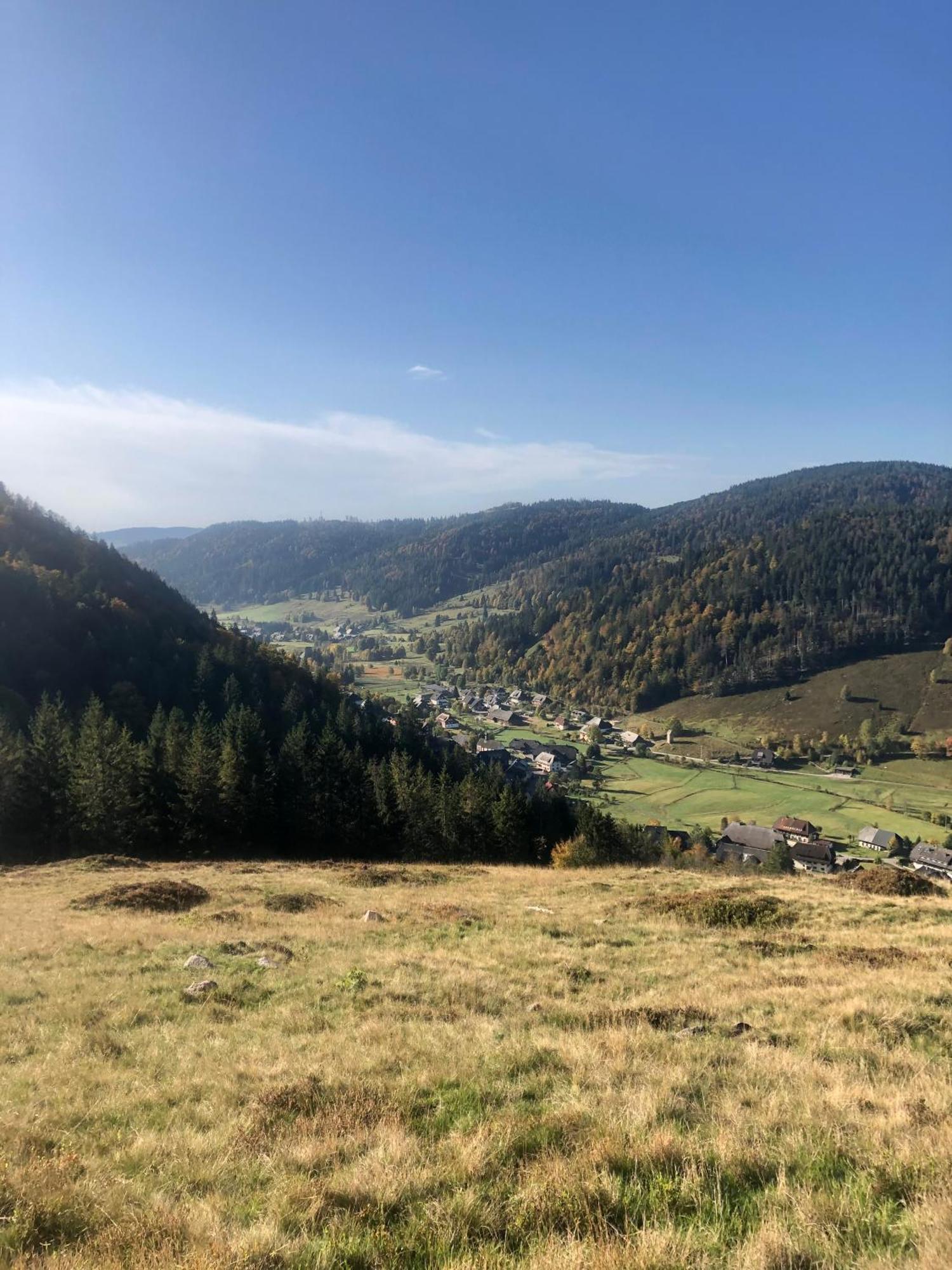 Forest Apartment-Forest Escape Menzenschwand St. Blasien Εξωτερικό φωτογραφία