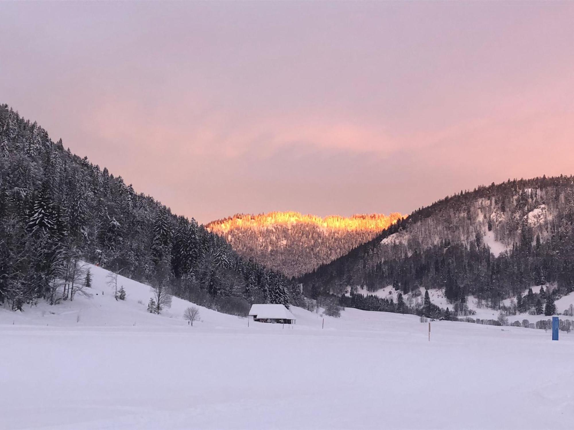 Forest Apartment-Forest Escape Menzenschwand St. Blasien Εξωτερικό φωτογραφία