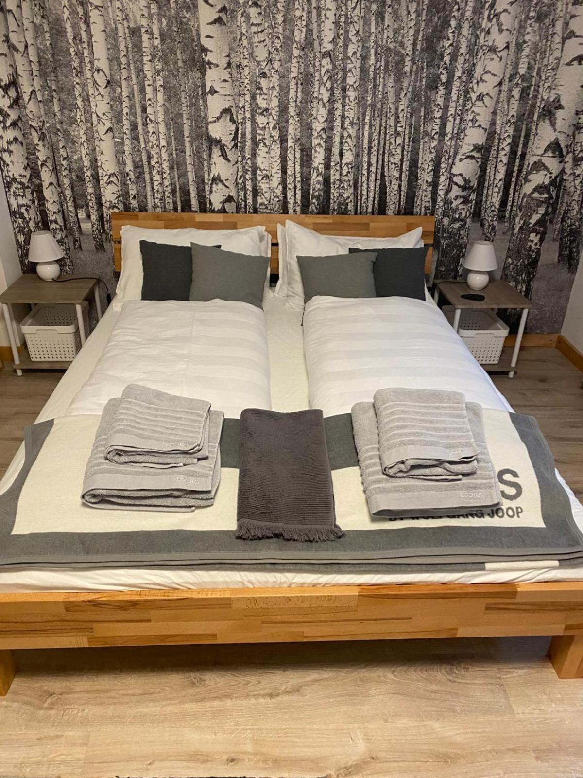 Forest Apartment-Forest Escape Menzenschwand St. Blasien Εξωτερικό φωτογραφία